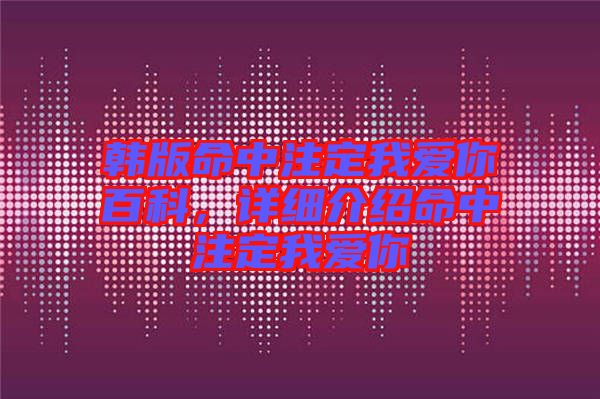 韓版命中注定我愛你百科，詳細介紹命中注定我愛你