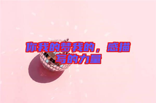 你我的夢(mèng)我的，感描寫的力量