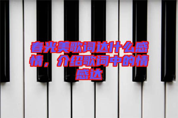 春光美歌詞達(dá)什么感情，介紹歌詞中的情感達(dá)