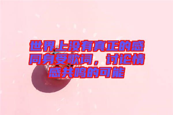 世界上沒有真正的感同身受歌詞，討論情感共鳴的可能