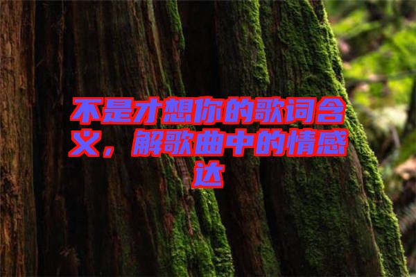 不是才想你的歌詞含義，解歌曲中的情感達