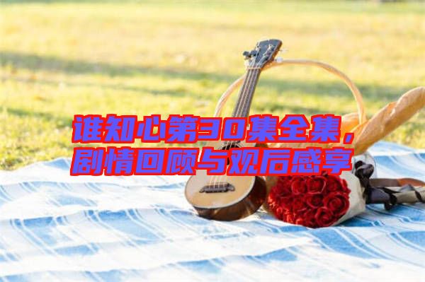 誰知心第30集全集，劇情回顧與觀后感享