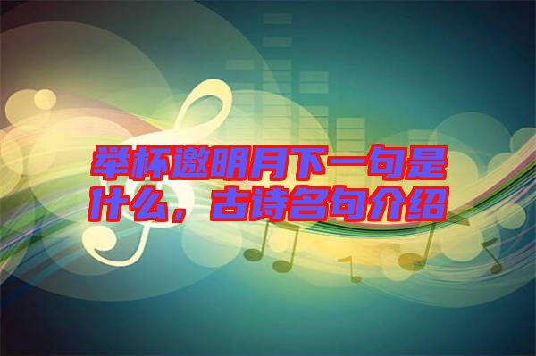 舉杯邀明月下一句是什么，古詩名句介紹