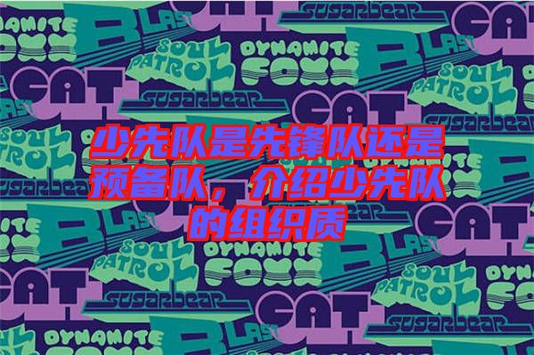 少先隊(duì)是先鋒隊(duì)還是預(yù)備隊(duì)，介紹少先隊(duì)的組織質(zhì)