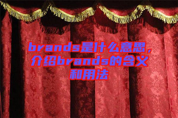brands是什么意思，介紹brands的含義和用法