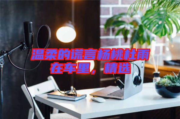 溫柔的謊言楊桃杜雨在車里，精選