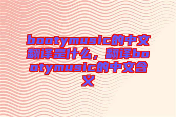 bootymusic的中文翻譯是什么，翻譯bootymusic的中文含義