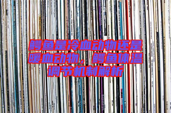 鱷魚(yú)是冷血?jiǎng)游镞€是暖血?jiǎng)游?，鱷魚(yú)體溫調(diào)節(jié)機(jī)制解析