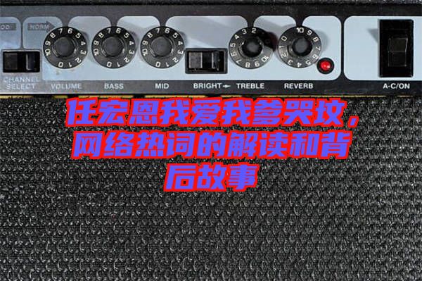 任宏恩我愛我爹哭墳，網(wǎng)絡熱詞的解讀和背后故事