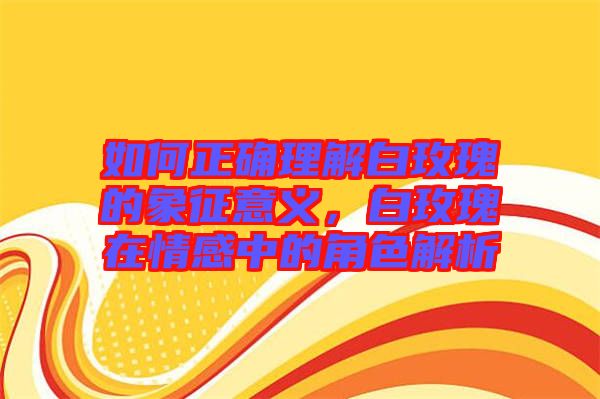 如何正確理解白玫瑰的象征意義，白玫瑰在情感中的角色解析