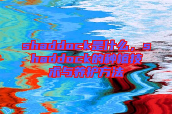 shaddock是什么，shaddock的種植技術(shù)與養(yǎng)護(hù)方法