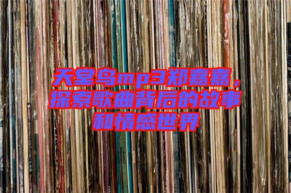 天堂鳥(niǎo)mp3鄭嘉嘉，探索歌曲背后的故事和情感世界