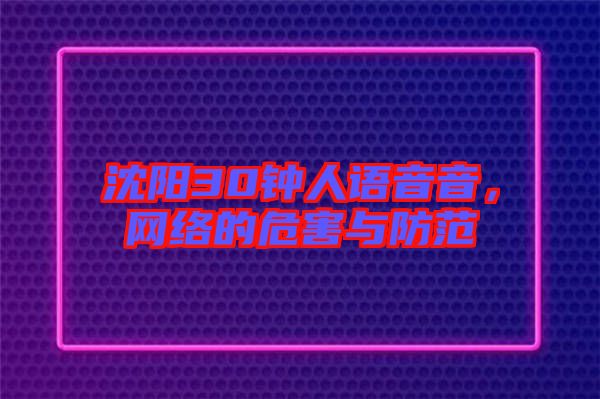 沈陽30鐘人語音音，網(wǎng)絡(luò)的危害與防范