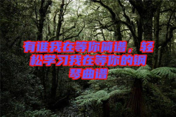 有誰我在等你簡譜，輕松學(xué)習(xí)我在等你的鋼琴曲譜