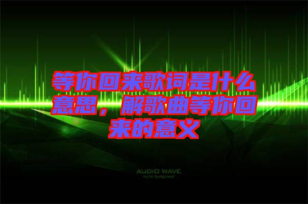 等你回來歌詞是什么意思，解歌曲等你回來的意義