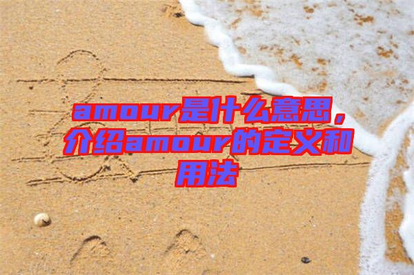 amour是什么意思，介紹amour的定義和用法