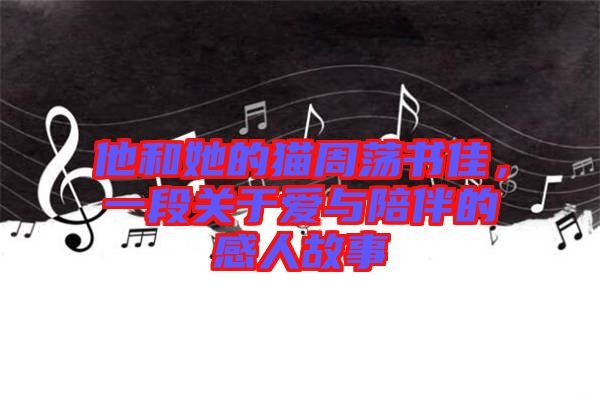 他和她的貓周蕩書佳，一段關(guān)于愛與陪伴的感人故事