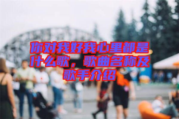 你對(duì)我好我心里都是什么歌，歌曲名稱及歌手介紹