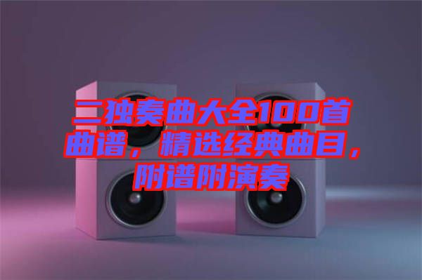 二獨(dú)奏曲大全100首曲譜，精選經(jīng)典曲目，附譜附演奏