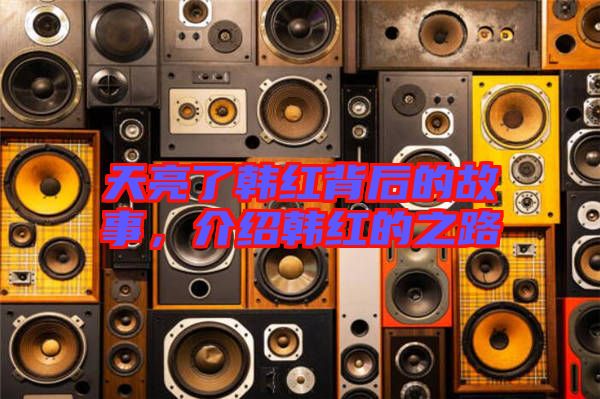 天亮了韓紅背后的故事，介紹韓紅的之路