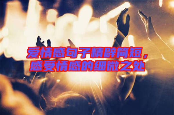愛情感句子精辟簡短，感受情感的細微之處