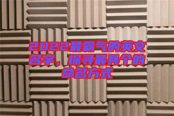 2022最霸氣的英文名字，探尋最具個(gè)的命名方式