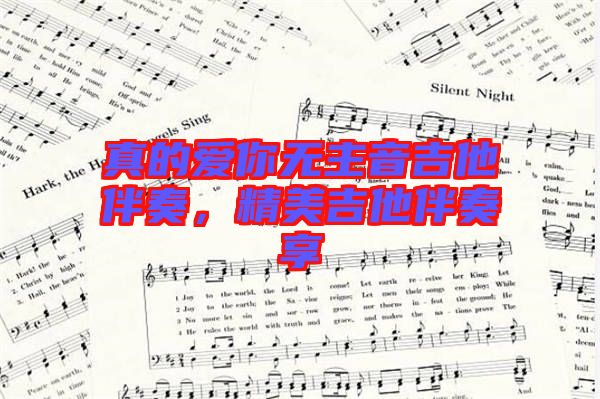 真的愛你無主音吉他伴奏，精美吉他伴奏享