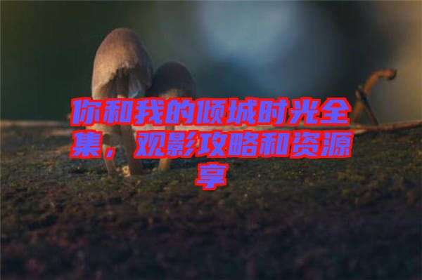 你和我的傾城時光全集，觀影攻略和資源享