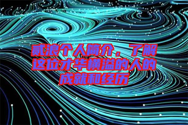 貳浪個人簡介，了解這位才華橫溢的人的成就和經(jīng)歷