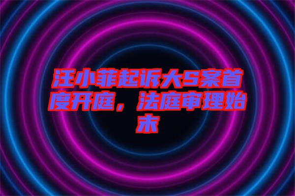 汪小菲起訴大S案首度開庭，法庭審理始末