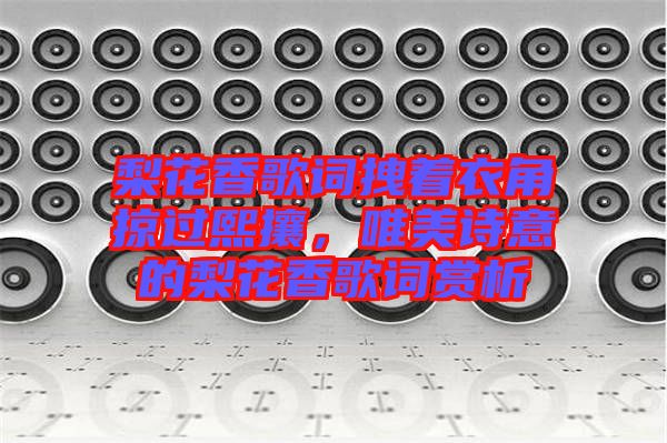 梨花香歌詞拽著衣角掠過熙攘，唯美詩意的梨花香歌詞賞析