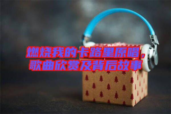 燃燒我的卡路里原唱，歌曲欣賞及背后故事