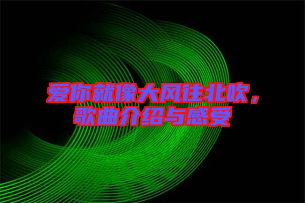 愛你就像大風(fēng)往北吹，歌曲介紹與感受