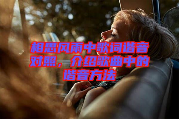 相思風(fēng)雨中歌詞諧音對照，介紹歌曲中的諧音方法