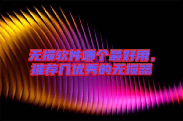 無(wú)損軟件哪個(gè)最好用，推薦幾優(yōu)秀的無(wú)損器