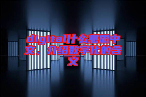 digital什么意思中文，介紹數(shù)字化的含義