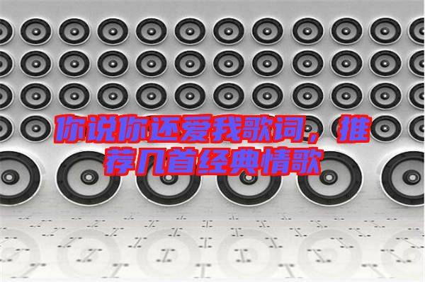 你說你還愛我歌詞，推薦幾首經(jīng)典情歌