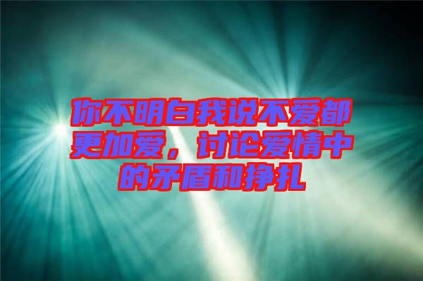 你不明白我說不愛都更加愛，討論愛情中的矛盾和掙扎