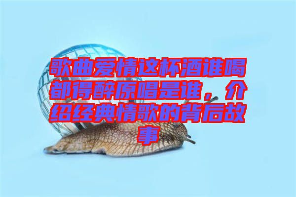 歌曲愛情這杯酒誰喝都得醉原唱是誰，介紹經(jīng)典情歌的背后故事