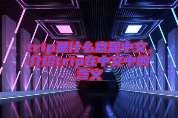 trip是什么意思中文，介紹trip在中文中的含義