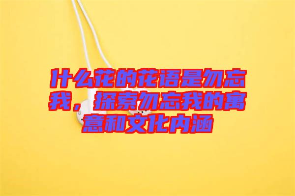 什么花的花語是勿忘我，探索勿忘我的寓意和文化內(nèi)涵