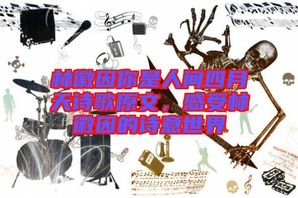 林徽因你是人間四月天詩(shī)歌原文，感受林徽因的詩(shī)意世界