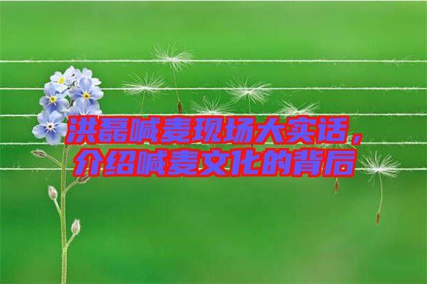 洪磊喊麥現(xiàn)場大實話，介紹喊麥文化的背后