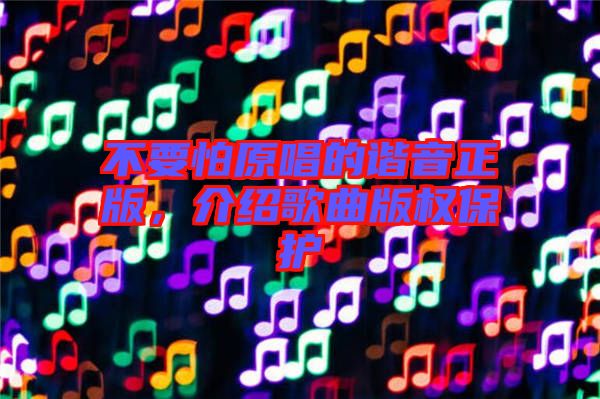 不要怕原唱的諧音正版，介紹歌曲版權(quán)保護(hù)
