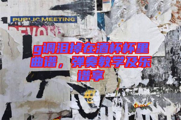 g調淚掉在酒杯杯里曲譜，彈奏教學及樂譜享