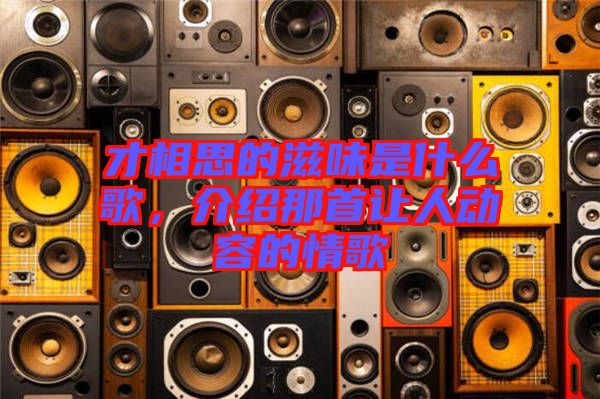 才相思的滋味是什么歌，介紹那首讓人動(dòng)容的情歌