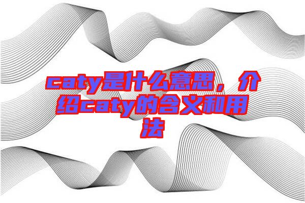 caty是什么意思，介紹caty的含義和用法