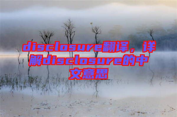 disclosure翻譯，詳解disclosure的中文意思
