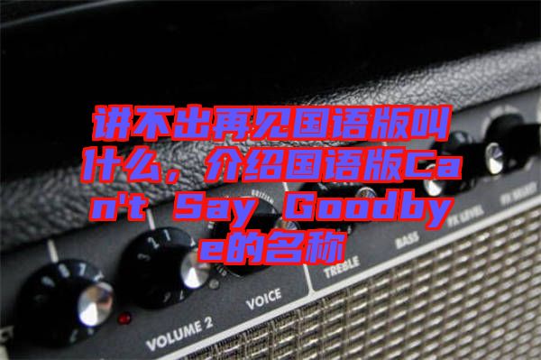 講不出再見(jiàn)國(guó)語(yǔ)版叫什么，介紹國(guó)語(yǔ)版Can't Say Goodbye的名稱