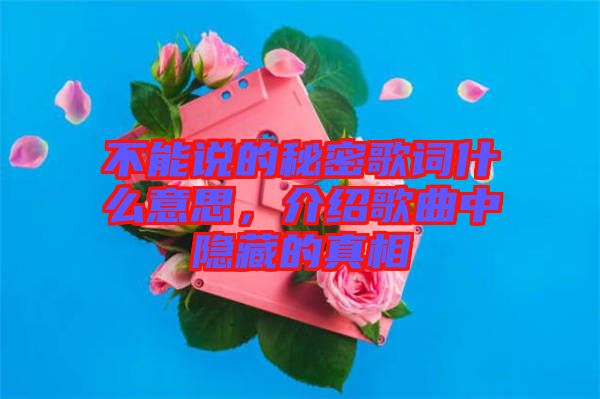 不能說(shuō)的秘密歌詞什么意思，介紹歌曲中隱藏的真相
